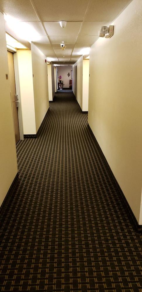 Super 8 By Wyndham Windsor Hotell Exteriör bild